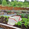 4Pack 31.50×12.99×13.39In Garden Row Accelerator Plants Covers Plant Net Cage Guard Greenhouse Covers Protect Seedling Fruit Vegetable Rows From Frost