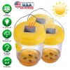 3Pack Solar Wasp Traps Outdoor Hanging Insect Catchers With Uv Light For Paper Wasps Yellow Jackets Small Hornets Fruit Flies House Flies